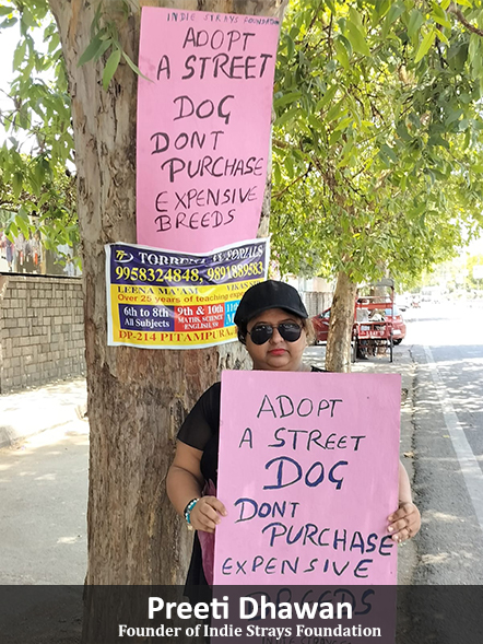 About Indie Strays Foundation